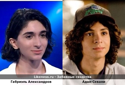 Габриэль Александров похож на Адама Севани