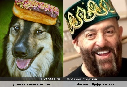 Пёс с лакомством на голове похож на Михаила Шуфутинского в тюбетейке