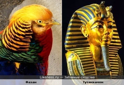 Золотой фазан и золотая маска Тутанхамона (10 кг чистого золота)