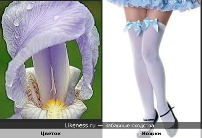 Чудесные ножки в цветочке