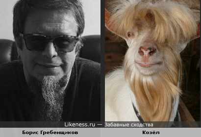 Борис Гребенщиков и симпатичный козёл
