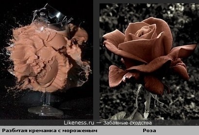 Разбитая креманка с шоколадным мороженым похожа на коричневую розу