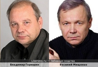 Владимир Горюшин и Василий Мищенко
