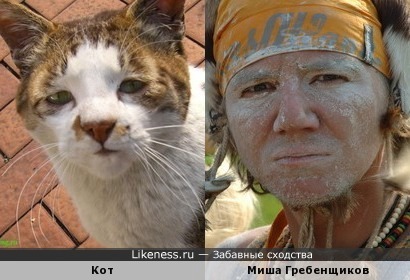 Кот и Миша Гребенщиков