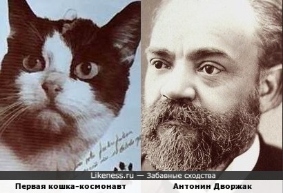 Первая кошка-космонавт и Антонин Дворжак