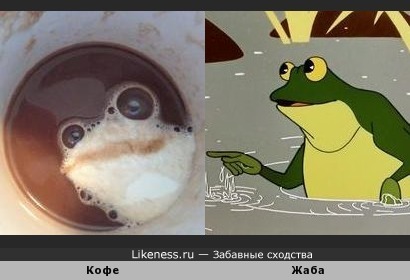 Пена в чашке кофе напоминает жабу