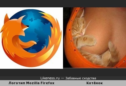 Котёнок на груди напоминает логотип Mozilla Firefox