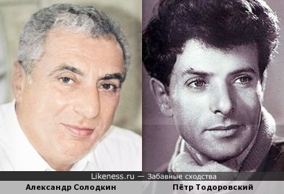 Александр Солодкин похож на Петра Тодоровского