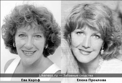 Ева Карпф похожа на Елену Проклову