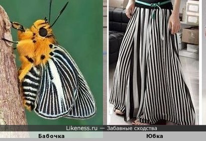 Бабочка напоминает юбку