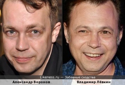 Александр Воронов похож на Владимира Лёвкина