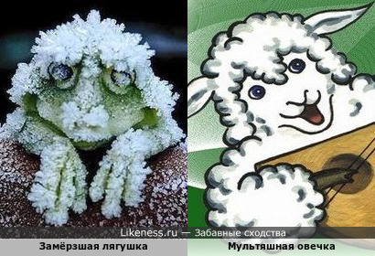Замёрзшая лягушка и мультяшная овечка