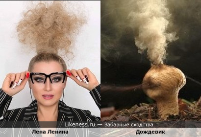 Причёска Лены Лениной напоминает дождевик