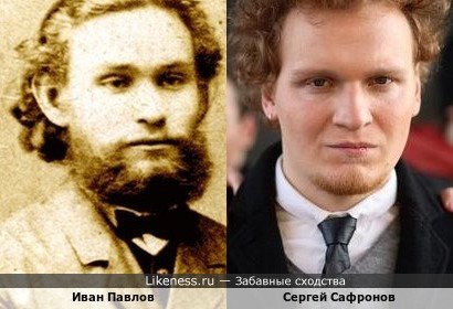 Сергей Сафронов похож на Ивана Павлова