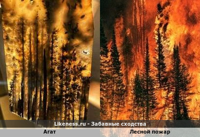 В этом агате можно увидеть лесной пожар