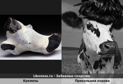 Кремень напоминает голову коровы