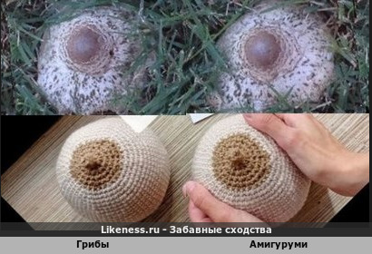 Эти грибы напоминают женскую грудь