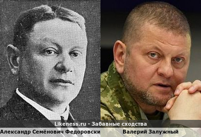 Александр Федоровский похож на Валерия Залужного