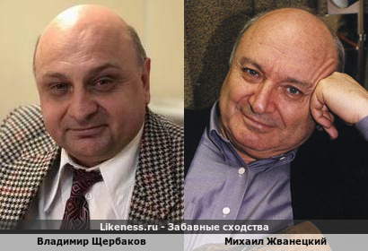 Владимир Щербаков похож на Михаила Жванецкого