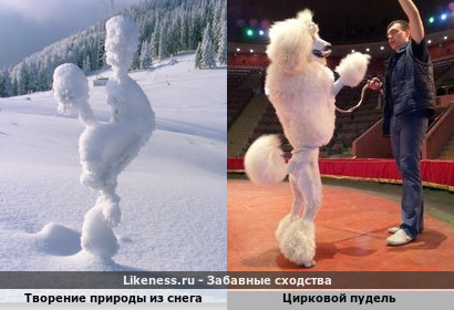 Природа &ndash; лучший художник, самый талантливый скульптор, самый непревзойдённый архитектор и самый утончённый дизайнер