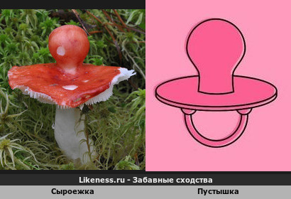 Сыроежка по форме напоминает пустышку