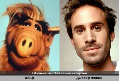 Альф и Джозеф Файнс