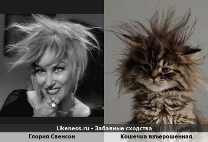 Взъерошенная причёска