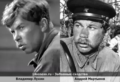 Владимир Лукин похож на Андрея Мартынова