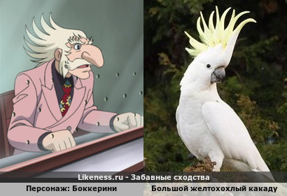 Причёска как хохолок у какаду