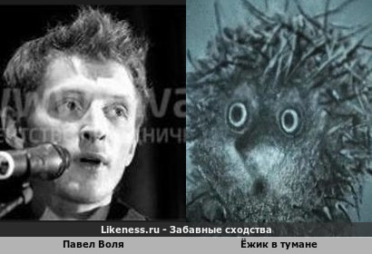 Гламурный подонок в тумане