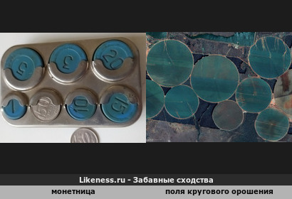 Советская монетница и поля кругового орошения со спутника