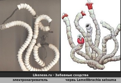 Советский спиральный электронагреватель в изоляции из керамических бус напоминает морского червя Lamellibrachia satsuma