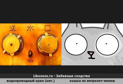 Китайский гидрант и кошка из интернет-мемов