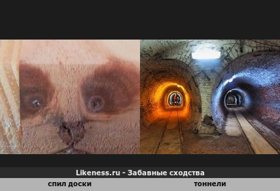 Спил доски в виде мордочки кота и тоннели музея горного дела в Пернике (Болгария)