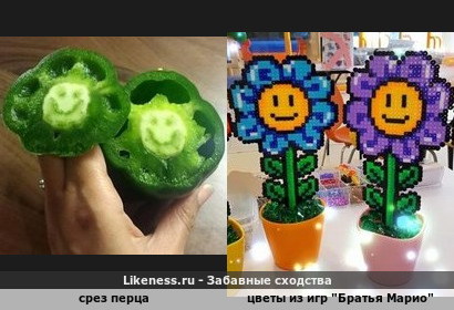 Срез перца и цветы из игр &quot;Братья Марио&quot;