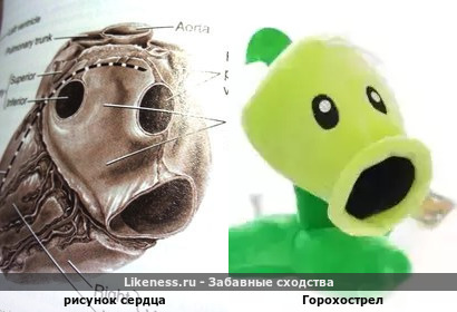 Рисунок сердца и Горохострел из игр &quot;Plants vs Zombies&quot;