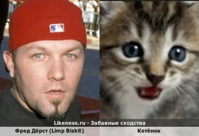 Фред Дёрст (Limp Bizkit) похож на Котёнка