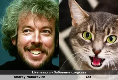 Andrey Makarevich напоминает Cat