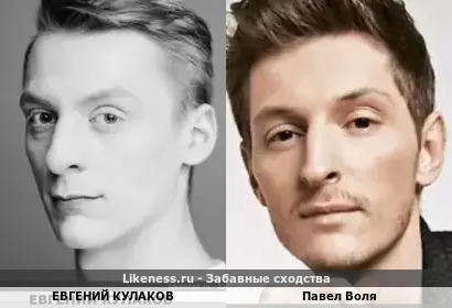 Евгений Кулаков похож на Павла Воля