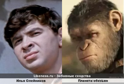 Илья Олейников напоминает планету обезьян
