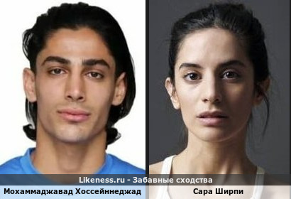 Мохаммаджавад Хоссейннеджад похож на Сару Ширпи