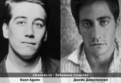 Билл Адамс похож на Джейк Джилленхол