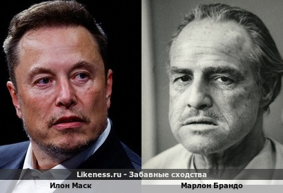 Илон Маск чем-то напоминает Дона Корлеоне в исполнении Брандо
