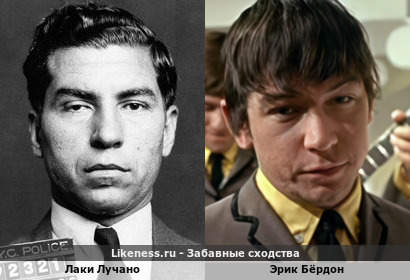 Лаки Лучано похож на Эрика Бёрдона