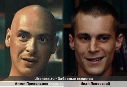 Антон Привольнов похож на Ивана Янковского