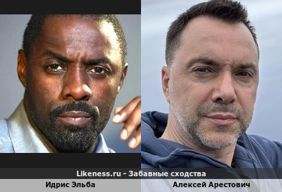 Идрис Эльба похож на Алексея Арестовича