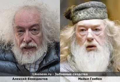 Алексей Венедиктов похож на Майкла Гэмбона в роли Дамблдора