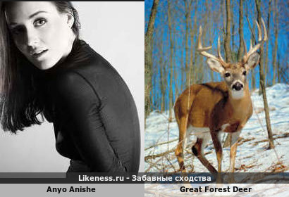 Anyo Anishe напоминает Great Forest Deer