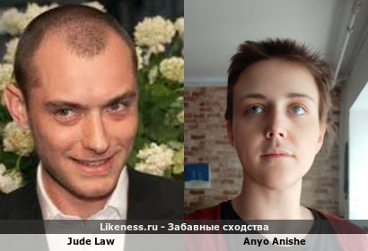 Jude Law напоминает Anyo Anishe