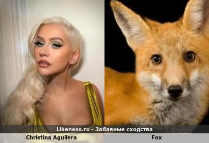 Christina Aguilera напоминает Fox